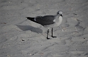 Kids_ClearwaterBch_11-2014 (16)
